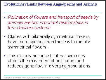 Evolutionary Links Between Angiosperms and Animals