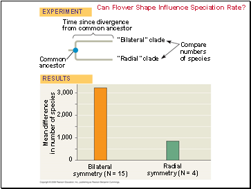 Can Flower Shape Influence Speciation Rate?