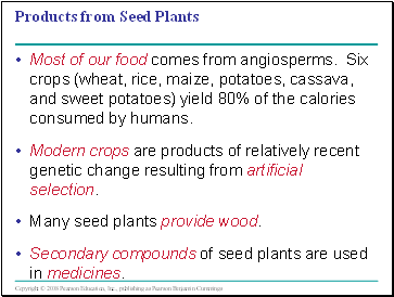 Products from Seed Plants