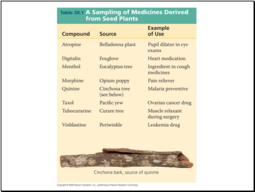 Products from Seed Plants