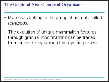 The Origin of New Groups of Organisms