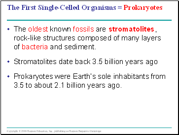 The First Single-Celled Organisms = Prokaryotes