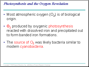 Photosynthesis and the Oxygen Revolution