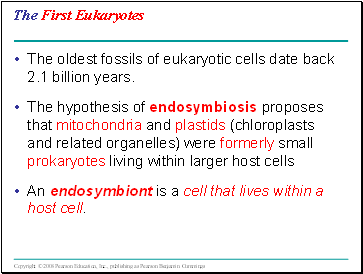 The First Eukaryotes