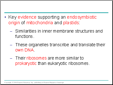 Key evidence supporting an endosymbiotic origin of mitochondria and plastids: