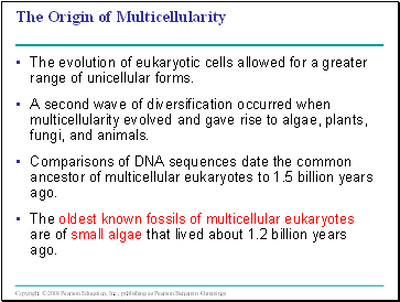 The Origin of Multicellularity