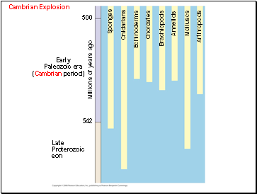 Cambrian Explosion