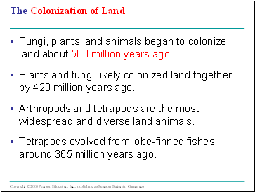 The Colonization of Land