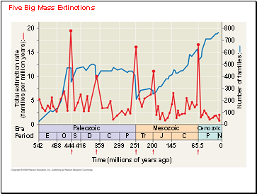 Five Big Mass Extinctions