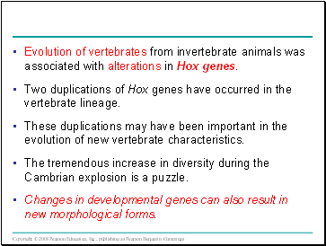 Evolution of vertebrates from invertebrate animals was associated with alterations in Hox genes.