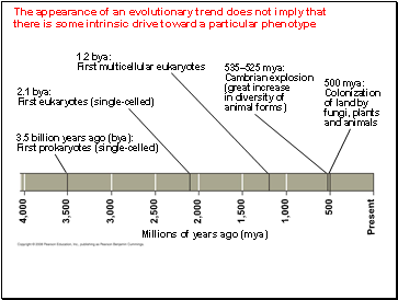 The appearance of an evolutionary trend does not imply that there is some intrinsic drive toward a particular phenotype