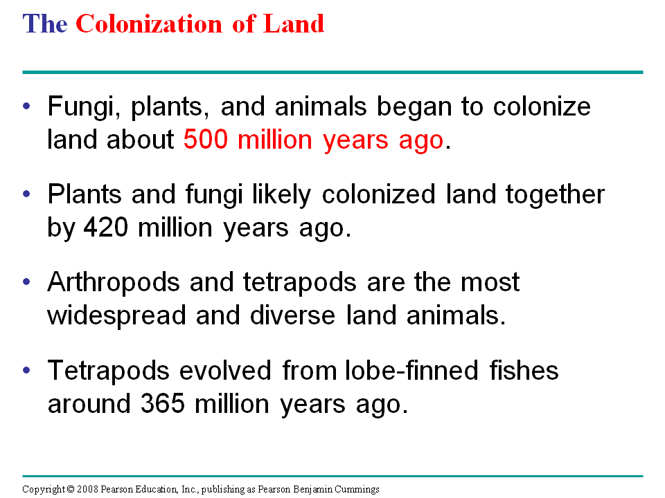 The Colonization of Land