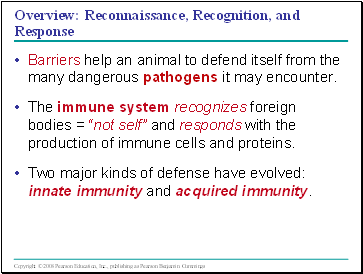 The Immune System