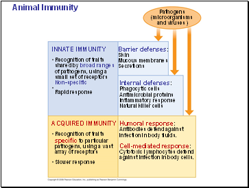 Animal Immunity