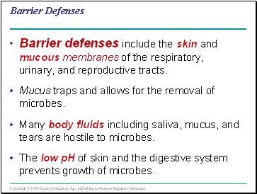 Barrier Defenses