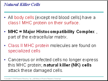 Natural Killer Cells