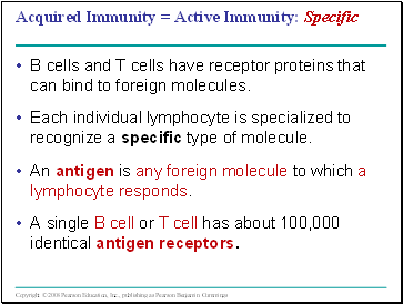 Acquired Immunity = Active Immunity: Specific