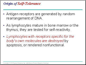 Origin of Self-Tolerance