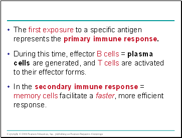 The first exposure to a specific antigen represents the primary immune response.