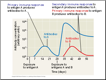 Antibodies