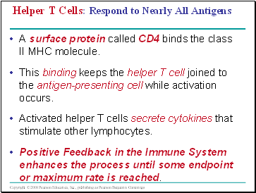Helper T Cells: Respond to Nearly All Antigens
