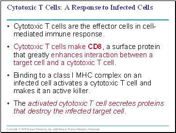 Cytotoxic T Cells: A Response to Infected Cells
