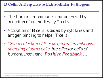 B Cells: A Response to Extracellular Pathogens