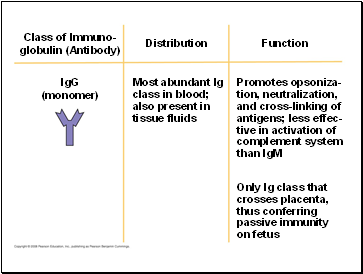 Distribution