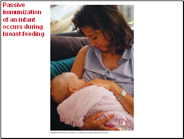 Passive immunization of an infant occurs during breast-feeding