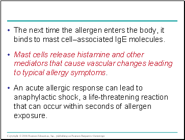 The next time the allergen enters the body, it binds to mast cellassociated IgE molecules.