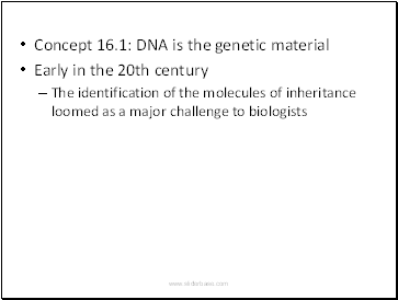Concept 16.1: DNA is the genetic material