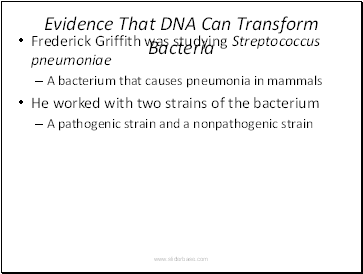 Evidence That DNA Can Transform Bacteria