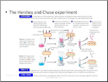 The Hershey and Chase experiment