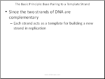 The Basic Principle: Base Pairing to a Template Strand
