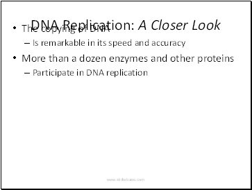 DNA Replication: A Closer Look