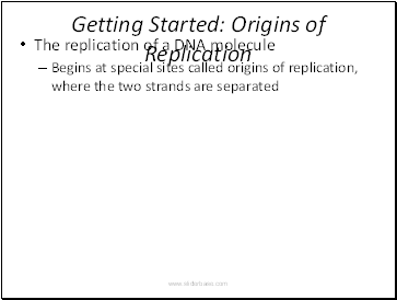 Getting Started: Origins of Replication