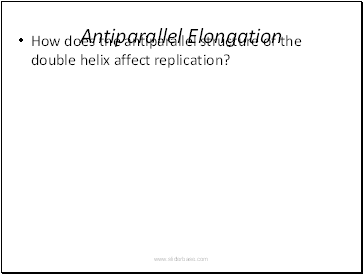 Antiparallel Elongation