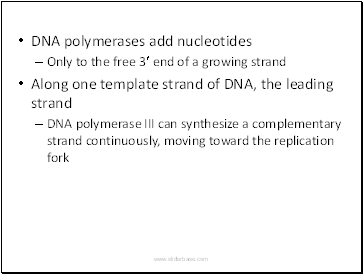 DNA polymerases add nucleotides