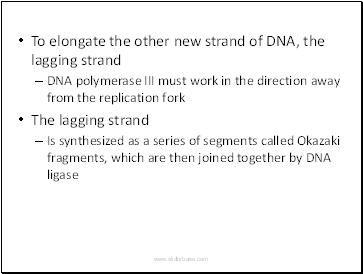 To elongate the other new strand of DNA, the lagging strand