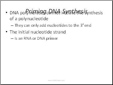 Priming DNA Synthesis