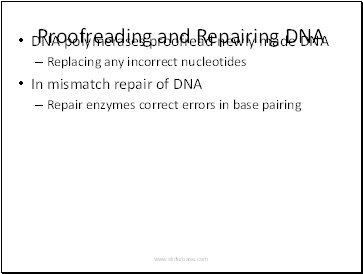Proofreading and Repairing DNA