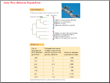 Gene Flow Between Populations