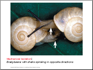 Mechanical Isolation: