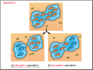 Speciation