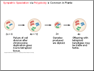 Sympatric Speciation via Polyploidy is Common in Plants