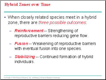Hybrid Zones over Time