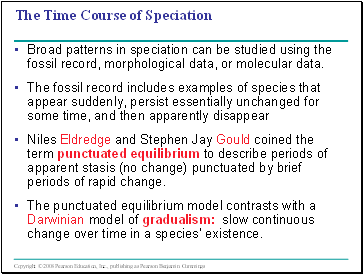 The Time Course of Speciation