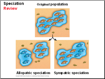 Speciation Review