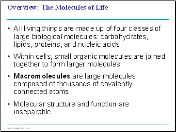 The Structure and Function of Large Biological Molecules