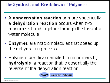 The Synthesis and Breakdown of Polymers